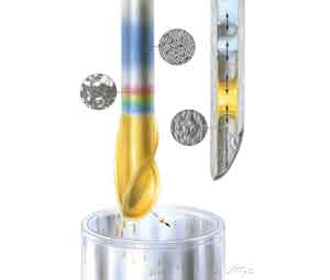 Roche01