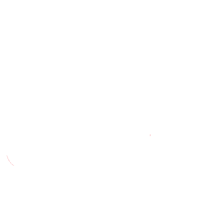 Caran d'Ache